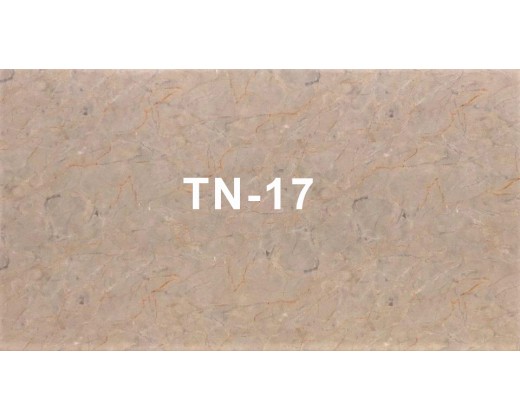Tấm nhựa vân đá TN-17