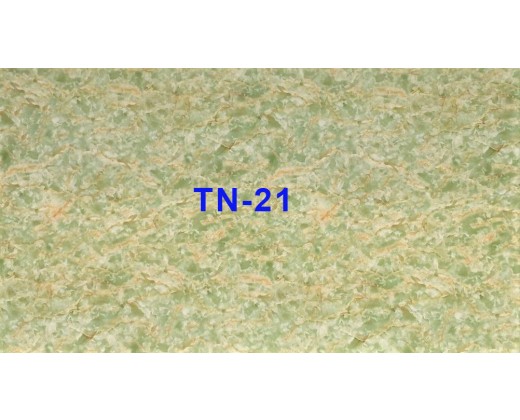 Tấm nhựa vân đá TN-21
