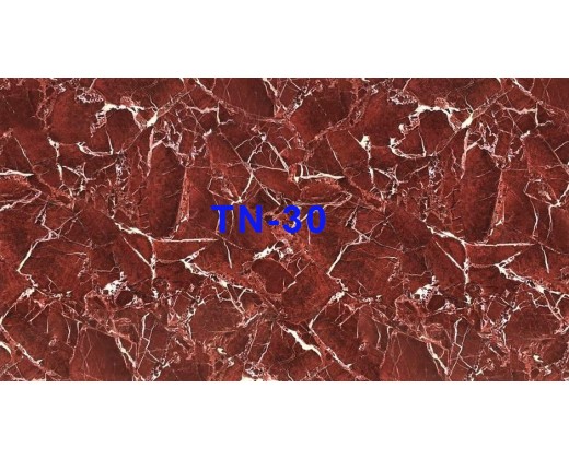 Tấm nhựa vân đá TN-30